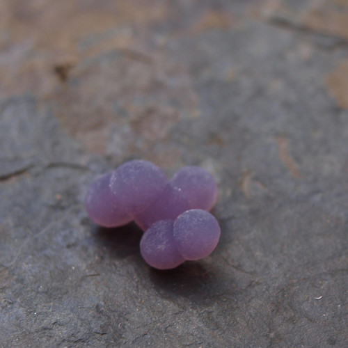 Chalcedon grape neboli hroznový č.1991 — foto 3