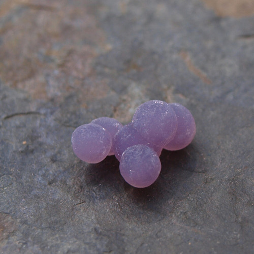 Chalcedon grape neboli hroznový č.1991 — foto 4