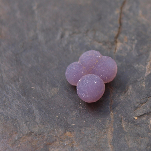 Chalcedon grape neboli hroznový č.1992 — foto 3