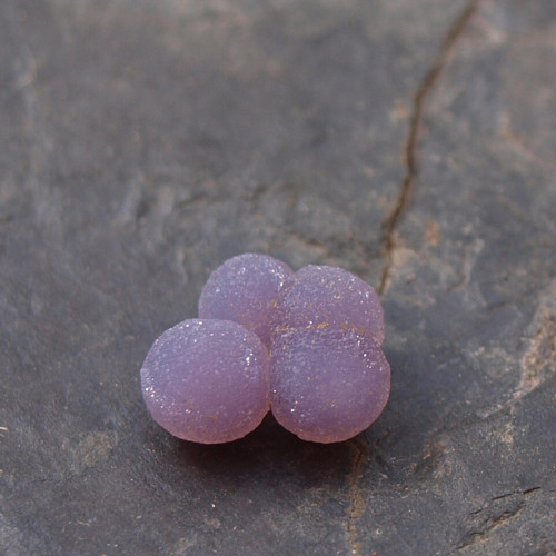 Chalcedon grape neboli hroznový č.1992 — foto 4
