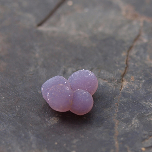 Chalcedon grape neboli hroznový č.1992 — foto 5