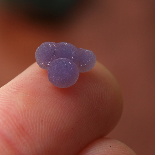 Chalcedon grape neboli hroznový č.1993 — foto 4