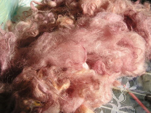 Angora — foto 3
