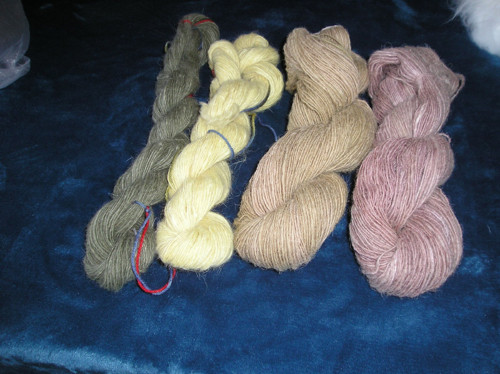 Angora — foto 5