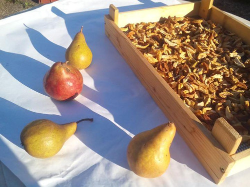 Sušené hrušky, 200 gramů — foto 2