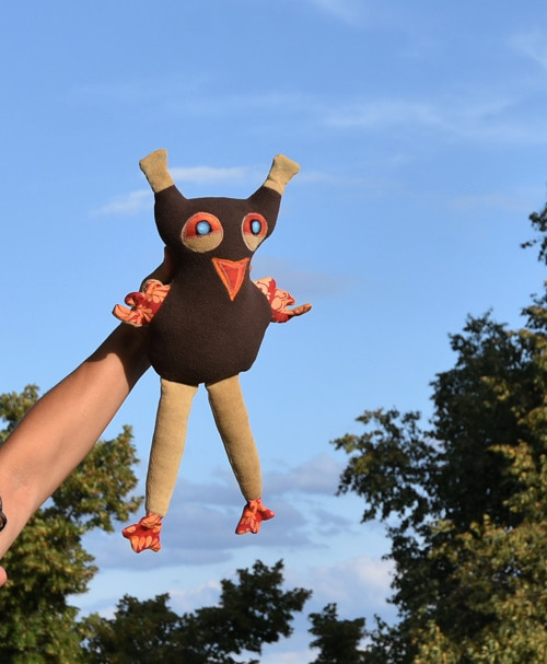 Sova gymnastka — foto 5