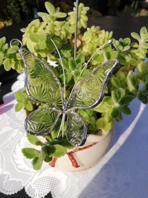 Motýl 3D střední — foto 2