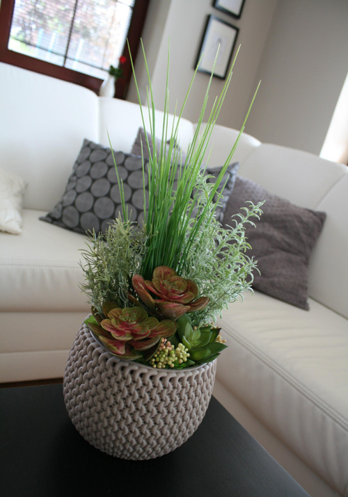 Pletený obal se sukulenty — foto 3