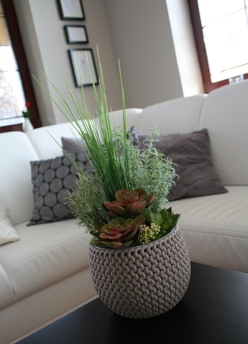 Pletený obal se sukulenty — foto 4