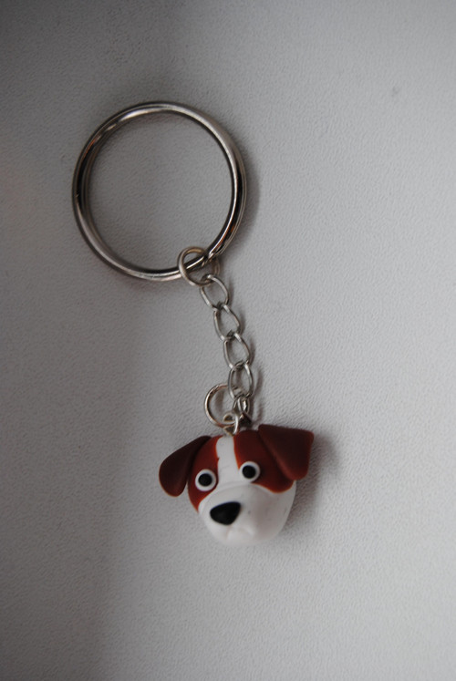 Jack russel - na klíče — foto 2