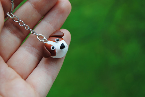 Jack russel - na klíče — foto 3