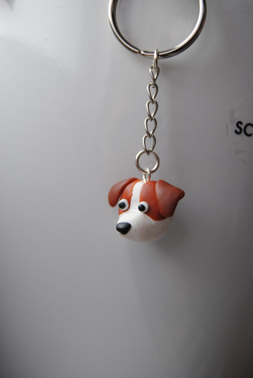 Jack russel - na klíče — foto 4