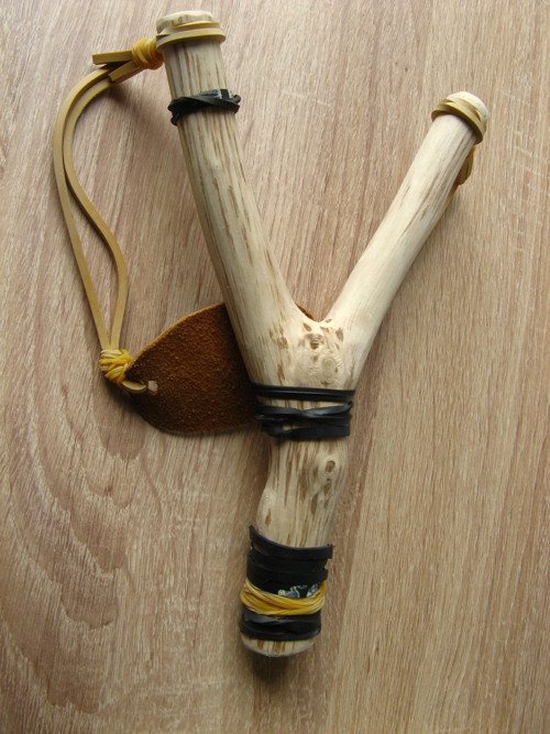 Habrový prak — foto 3