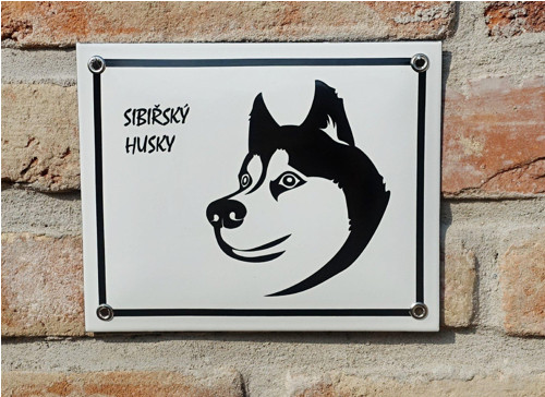 Husky — foto 2