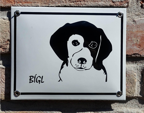 Bígl — foto 2