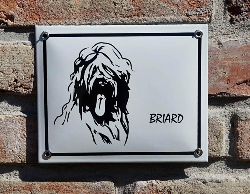 Briard — foto 2