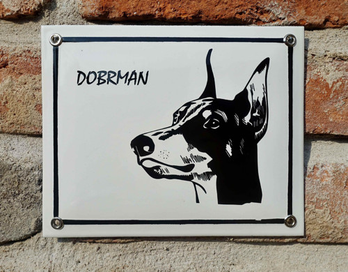 Dobrman — foto 2