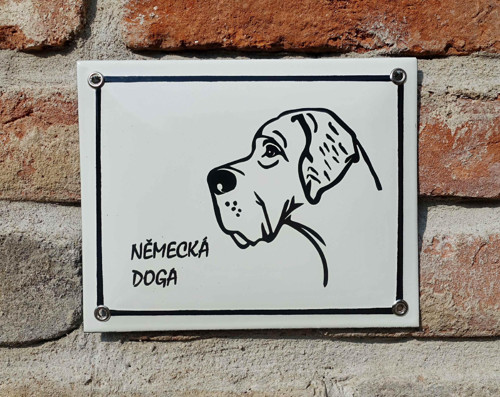 Německá doga — foto 2