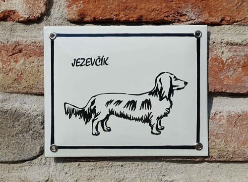 Jezevčík — foto 2