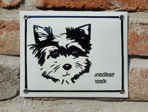 Jorkšírský teriér — foto 2