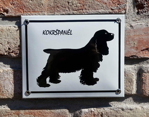 Kokršpaněl — foto 2