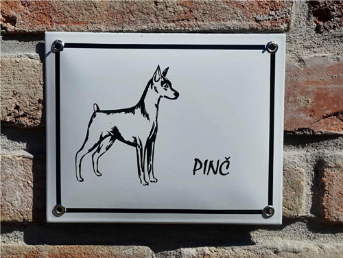 Pinč — foto 2