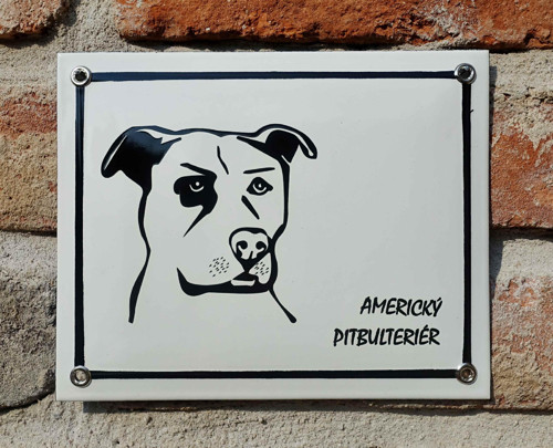 Americký pitbulteriér — foto 2