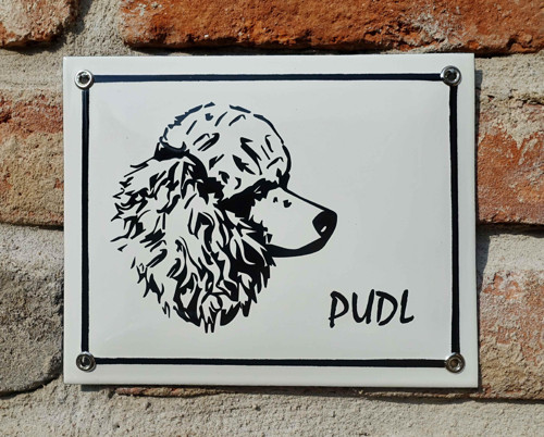 Pudl — foto 2