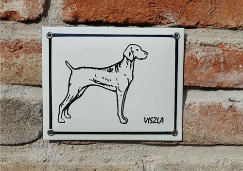 Viszla — foto 2