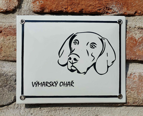 Výmarský ohař — foto 2