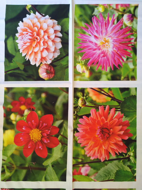 Panel Just Dahlias 60*110 cm — foto 2