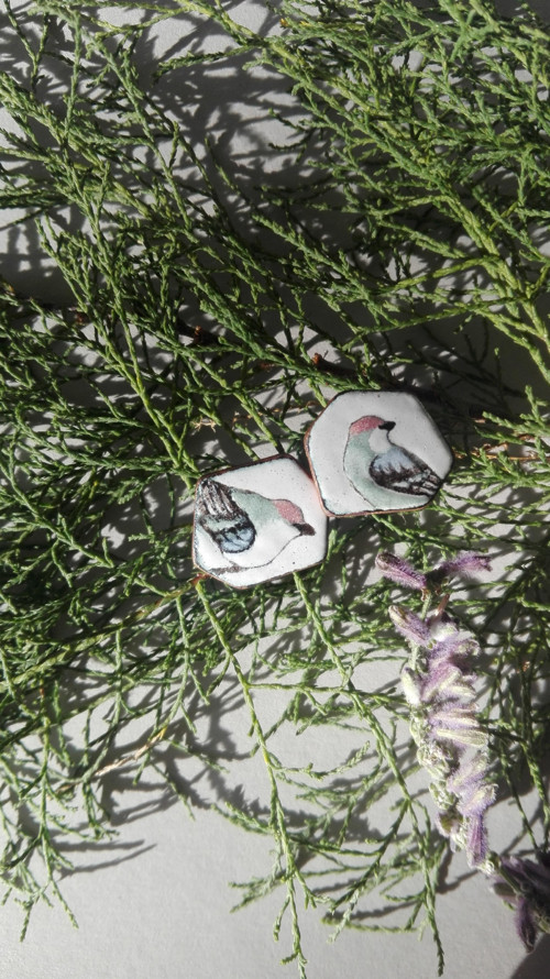 Ptáčci — foto 2
