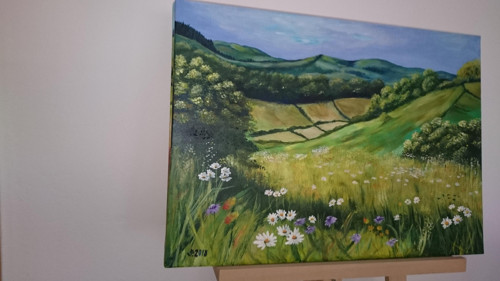 Letní louka — foto 2