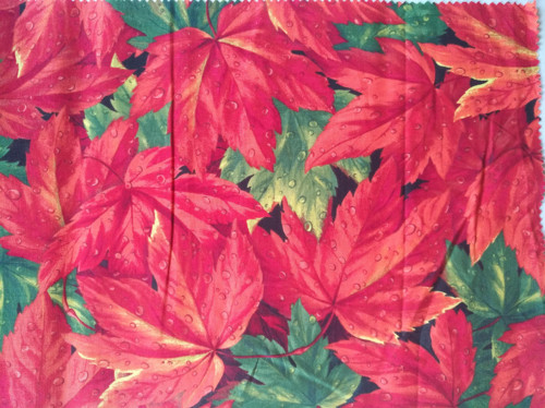 Sada Fading into Fall 07731 — foto 3