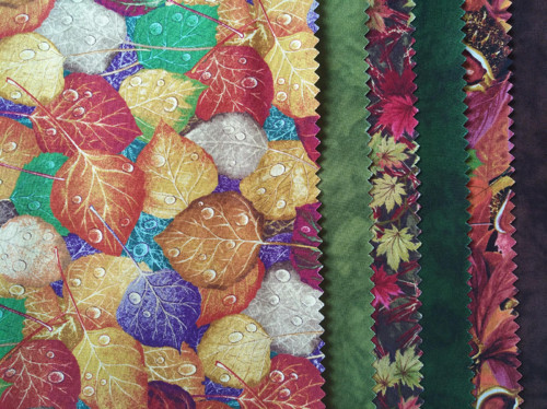 Sada Autumn into Winter 03601 — foto 2