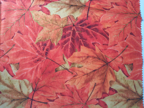 Sada Autumn into Winter 03601 — foto 4