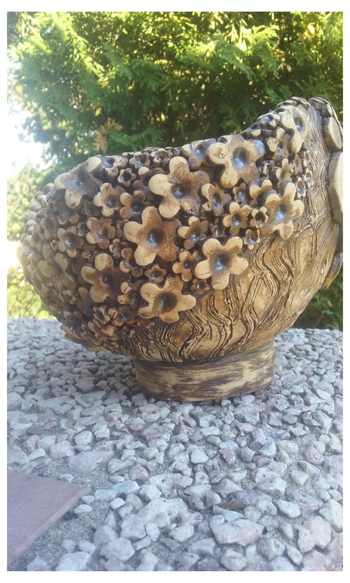 Miska — foto 2