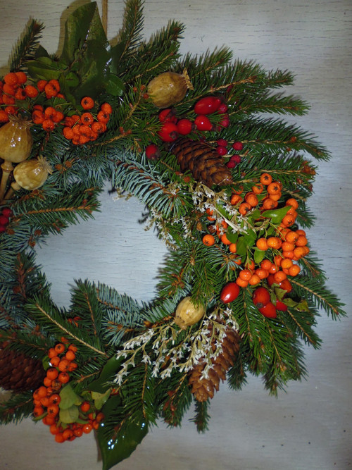 Věneček přírodní — foto 3