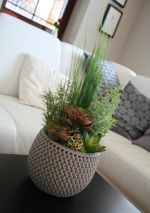 Pletený obal se sukulenty — foto 3
