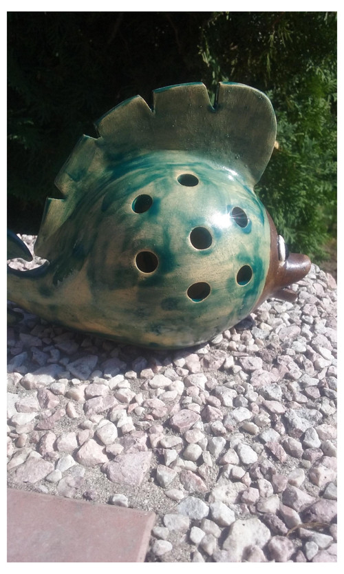 Rybka zelená — foto 2