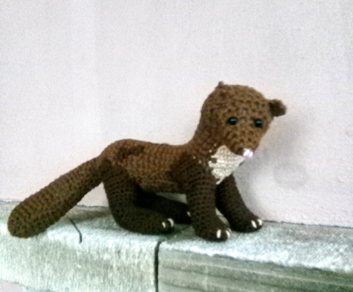 Kuna skalní — foto 2