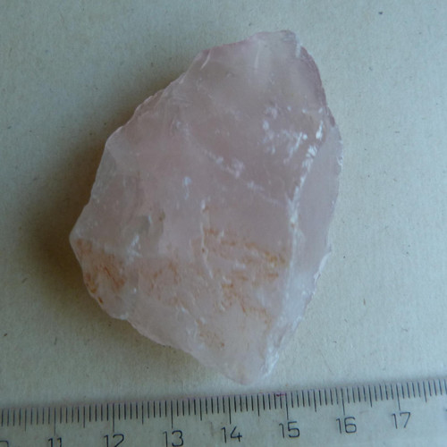 Růženín surový - 6 cm — foto 4
