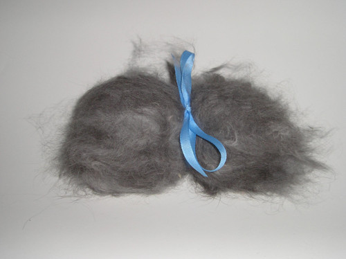 Angora — foto 3
