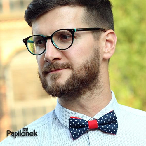 Pánský motýlek - Papilónek dotík — foto 3