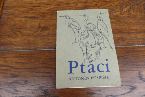 Ptáci, Antonín Pospíšil — foto 2