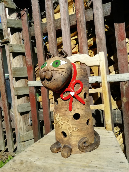 Kočka — foto 2