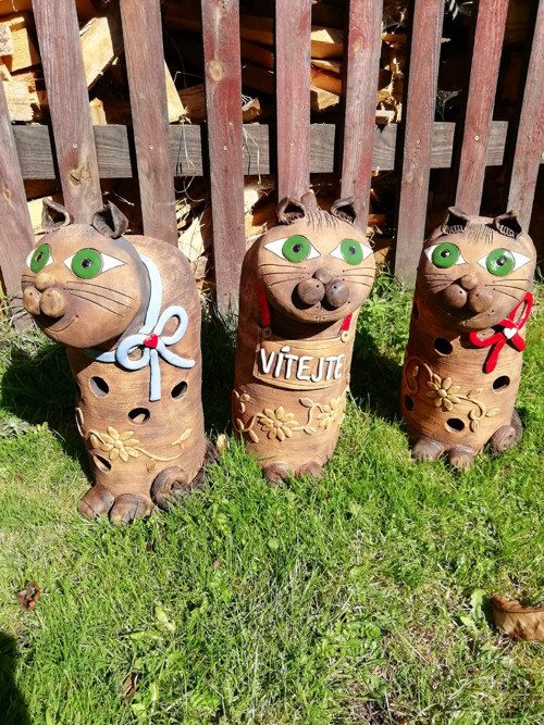 Kočka — foto 3