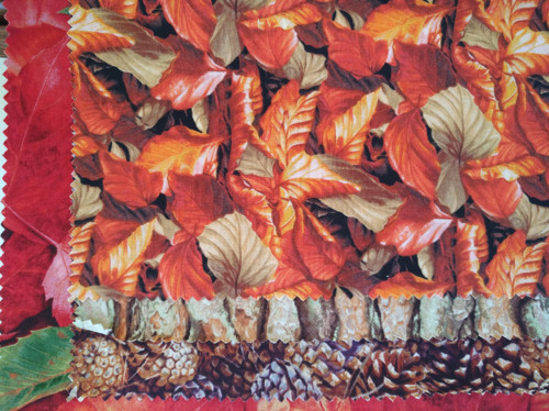 Sada An Autumn Wind 87151 — foto 2