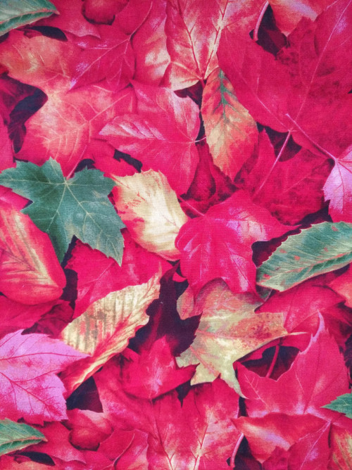 Sada An Autumn Wind 87151 — foto 4