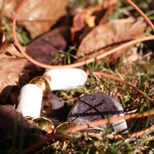 Zlaté pardubické (porcelán) — foto 3